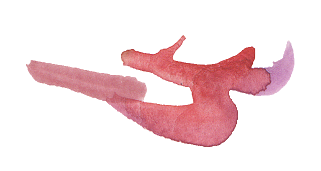 logo ALTRAVISTA